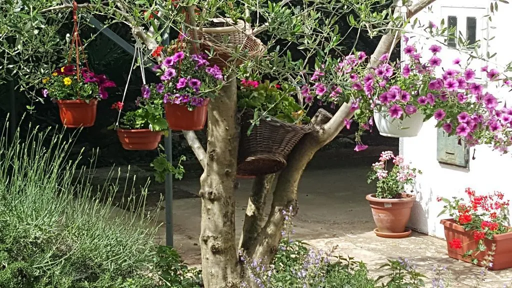 Holiday House Altea بنجول بيت للعطل