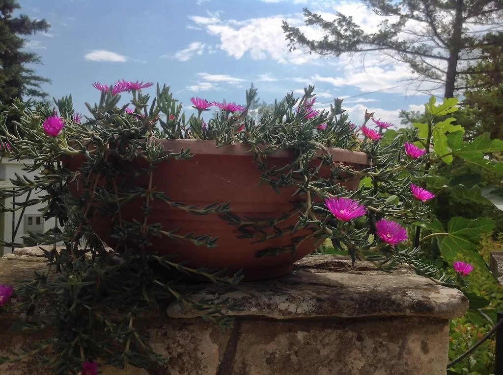 Holiday House Altea Banjole
